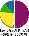 藤井塗装店 貸借対照表 2010年9月期