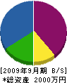 斉藤緑化 貸借対照表 2009年9月期