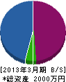 庭弘 貸借対照表 2013年3月期