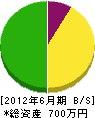 松本鉄工所 貸借対照表 2012年6月期