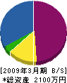川原緑地 貸借対照表 2009年3月期