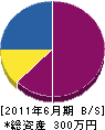 龍ケ崎塗装 貸借対照表 2011年6月期