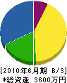 丸川緑光園 貸借対照表 2010年6月期