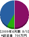 ムサシ電機商会 貸借対照表 2009年4月期