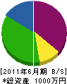 高濱塗装工業 貸借対照表 2011年6月期