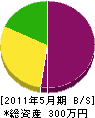 泉名土建 貸借対照表 2011年5月期