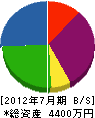 ミヤケ電工 貸借対照表 2012年7月期