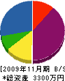 三藤 貸借対照表 2009年11月期