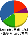 堀川設備 貸借対照表 2011年6月期