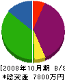 グリーン藤枝 貸借対照表 2008年10月期