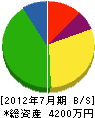 浜川産業 貸借対照表 2012年7月期