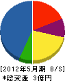 大同電機製作所 貸借対照表 2012年5月期