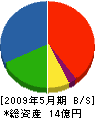 笹木産業 貸借対照表 2009年5月期