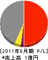 本田組 損益計算書 2011年6月期