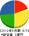 富士見電設 貸借対照表 2012年6月期