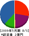 岡田建装 貸借対照表 2009年5月期