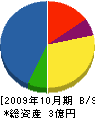 藤木工業 貸借対照表 2009年10月期