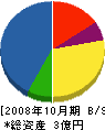 藤木工業 貸借対照表 2008年10月期