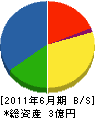 小笠原建設 貸借対照表 2011年6月期