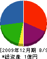 稲葉工業 貸借対照表 2009年12月期