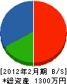 木本建装 貸借対照表 2012年2月期