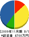 内藤工務店 貸借対照表 2009年11月期