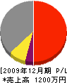 押川電気工事店 損益計算書 2009年12月期