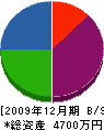 鳥沢設備 貸借対照表 2009年12月期