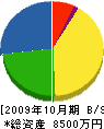 秋川造園 貸借対照表 2009年10月期