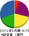 辻野組 貸借対照表 2012年6月期