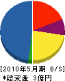 沖縄土木 貸借対照表 2010年5月期