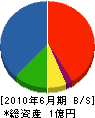 松元組 貸借対照表 2010年6月期