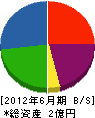 円建創 貸借対照表 2012年6月期