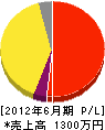 柳田塗装店 損益計算書 2012年6月期