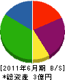 大竹山工業所 貸借対照表 2011年6月期