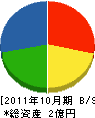 志田建設 貸借対照表 2011年10月期