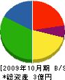 大山商店 貸借対照表 2009年10月期