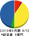 岡田電工 貸借対照表 2010年6月期