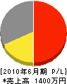 松井造園工務店 損益計算書 2010年6月期