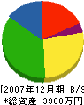石坂材木店 貸借対照表 2007年12月期