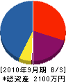 佐野塗装店 貸借対照表 2010年9月期