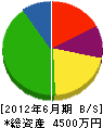 須崎水道建設 貸借対照表 2012年6月期