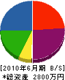 宮崎技研工業 貸借対照表 2010年6月期