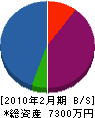竹内塗装 貸借対照表 2010年2月期