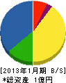 坪田電気 貸借対照表 2013年1月期