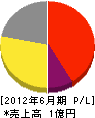 日本運動施設サービス 損益計算書 2012年6月期