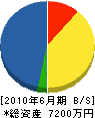 三津家建設 貸借対照表 2010年6月期