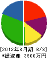 向田興業 貸借対照表 2012年6月期