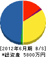 小松商会 貸借対照表 2012年6月期