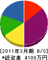 坪川電気商会 貸借対照表 2011年3月期